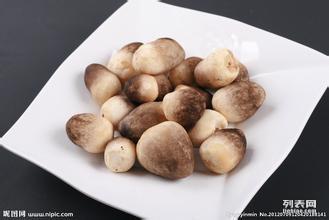 深圳生活物資配送與飼料銷(xiāo)售服務(wù)指南