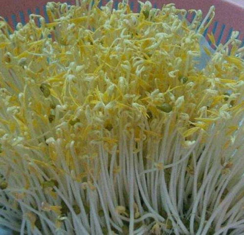 海南食品安全預警 11批次農產品檢出農獸藥殘留超標