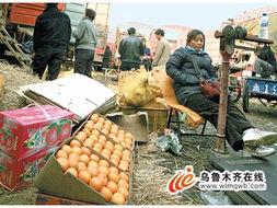 四川生蛆柑橘未流入烏魯木齊市場，市民可放心購買食用